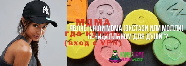 бошки Бородино