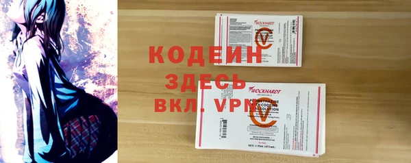 бошки Бородино
