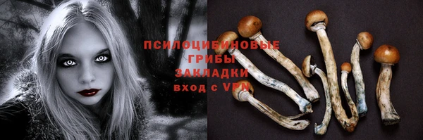 бошки Бородино