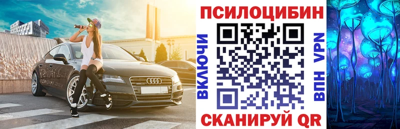дарнет шоп  Гай  Псилоцибиновые грибы мухоморы 
